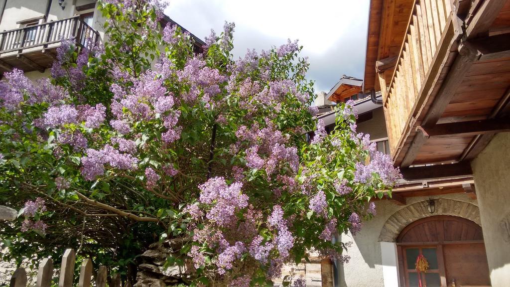 Apartmán Casa Grande Pragelato Exteriér fotografie